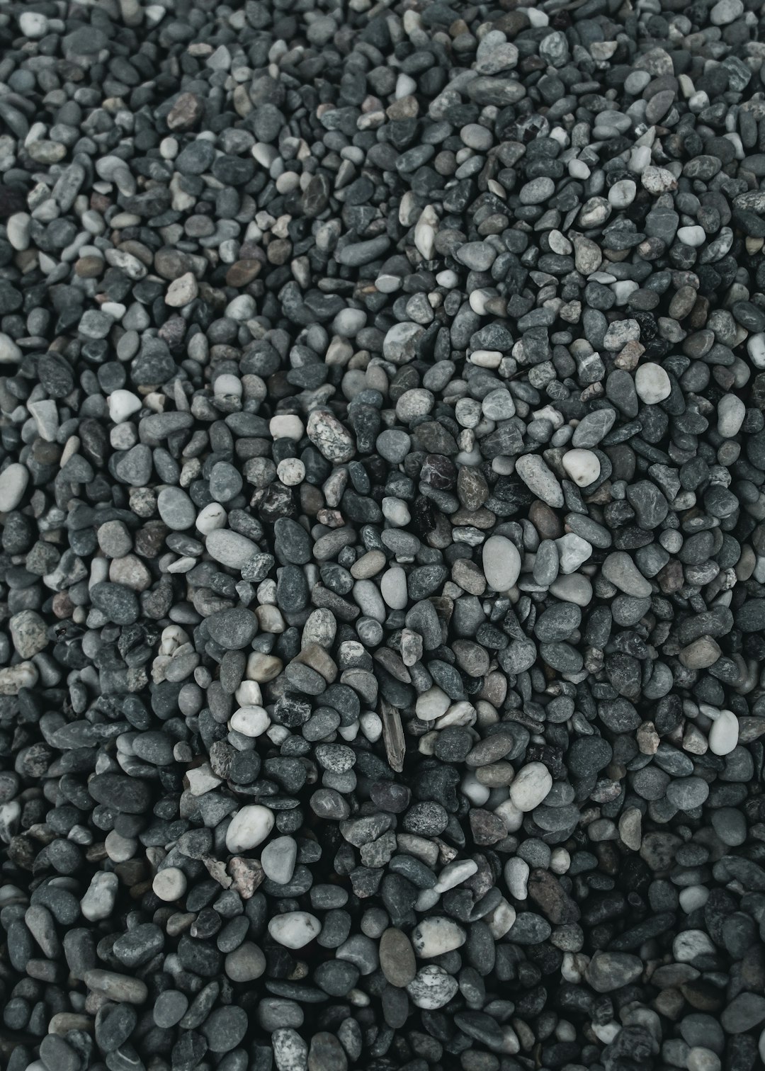a-pile-of-black-rocks-sitting-next-to-each-other-3g4iqc4gsrw